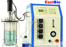 <em>离位灭菌机械搅拌玻璃发酵罐</em>