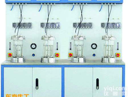 实验室<em>多联玻璃发酵罐</em>