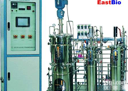 <em>多级</em><em>机械搅拌</em>不锈钢<em>发酵罐</em>（称重系统）