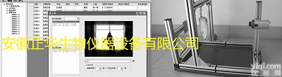 <em>悬尾实验</em><em>视频分析</em><em>系统</em>