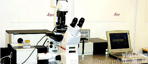 徕卡Leica 多<em>光子</em>共<em>聚焦</em><em>系统</em>