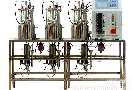 <em>全自动玻璃发酵罐</em>