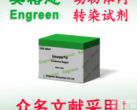 动物<em>体内转染试剂</em>