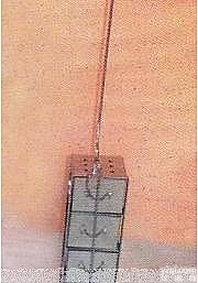 不锈钢<em>液氮</em>容器吊蓝(<em>抽屉</em>式)