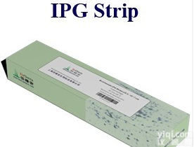 高<em>分辨</em><em>IPG</em><em>胶条</em>(L)