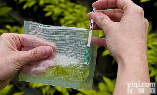 RS<em>青枯病</em>快速检测<em>试纸</em>条
