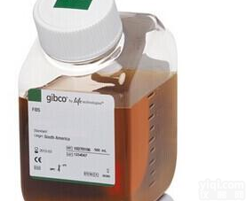 GIBCO 南美胎牛<em>血清</em> FBS <em>10270</em>-106 常备货
