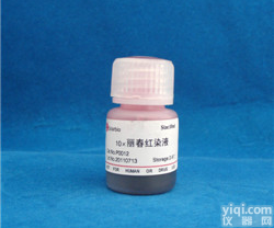 丽<em>春红</em><em>染液</em>（10倍浓缩液）