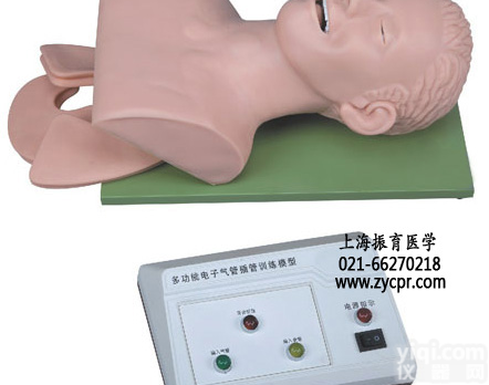 人体气道管理<em>模型</em>,气管<em>插管</em>术训练<em>模型</em>