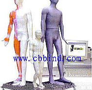 <em>针灸</em><em>穴位</em>模型|人体<em>针灸</em><em>穴位</em>发光模型