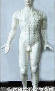 针灸教学模型|中医<em>推拿按摩</em>模型|推拿模型