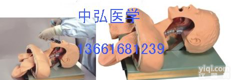 <em>气管</em><em>插管</em>模型、50<em>气管</em><em>插管</em>、<em>插管</em>模型