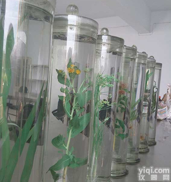 中药<em>标本</em>、浸制<em>标本</em>、蜡叶<em>标本</em>及<em>切片</em>