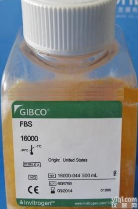 GIBCO,胎牛<em>血清</em>FBS,<em>26140</em>-079,<em>26140</em>-095