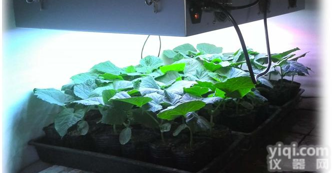 智能<em>光源</em>（光质光强<em>可调</em>可控）