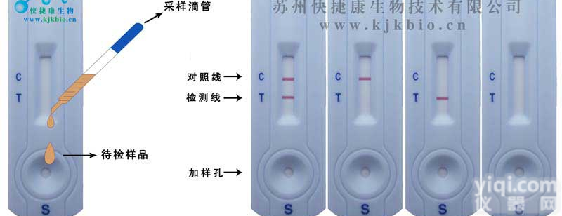 <em>呋喃唑酮检测卡</em>