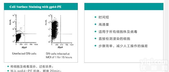 Expression <em>Systems</em>杆状病毒滴度测定<em>试剂</em>盒