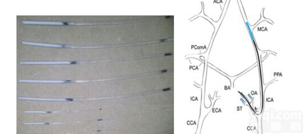 线拴,大<em>小鼠</em><em>MCAO</em>脑缺血线栓，<em>MCAO</em>栓线
