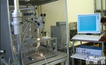 斑马鱼胞内<em>单细胞</em>测量<em>系统</em>