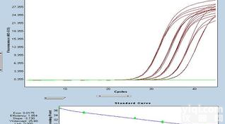 <em>荧光定量PCR技术服务</em>(RT-PCR)