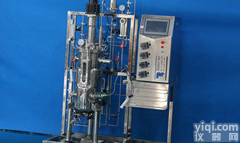 <em>自动灭菌不锈钢发酵罐</em>（5升-30升）