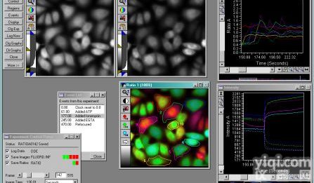 <em>钙通道离子成像工作站</em>
