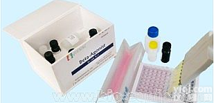 <em>氯霉素</em>|<em>氯霉素</em>检测<em>试剂盒</em>