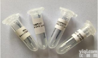 <em>小鼠</em> <em>MCAO</em>线栓/Doccol线栓/<em>MCAO</em>栓线