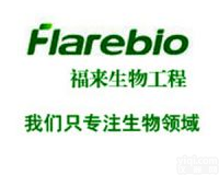 GAPDH|GAPDH 抗体|<em>GAPDH antibody</em>