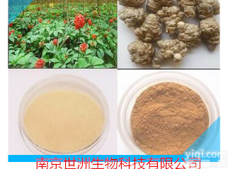 <em>三七茎叶总皂苷</em>，植物提取，厂家直供