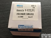 <em>流式细胞凋亡检测</em>Annexin V FITC/PI 20T