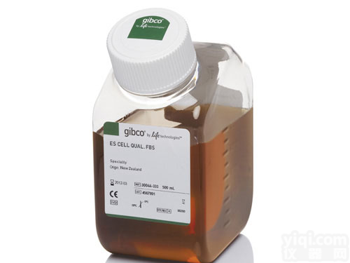 <em>12664-025间充质干细胞专用胎牛血清</em>