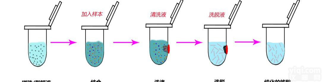 <em>磁珠法核酸提取试剂盒</em>