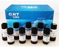 DNA提取磁珠|<em>硅基磁珠</em>|核酸提取磁珠