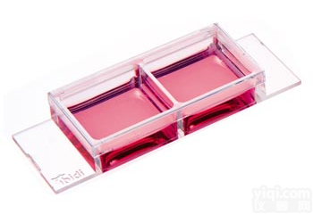 μ-<em>Slide</em> 2<em>孔共</em><em>培养</em>-81806 81801