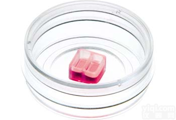 <em>划痕</em>实验／伤口<em>愈合</em>插件／培养皿／24孔板