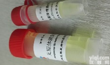 支原体清除剂 双重杀菌机制 不耐药<em>不反弹</em>