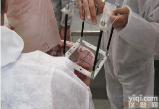 胴体肉质<em>眼肌</em><em>面积</em>分析/肉质切<em>面积</em>扫描仪