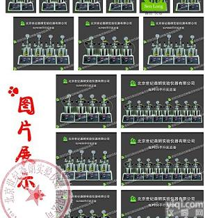 SLP上海<em>平行反应</em>器,SLM微型<em>反应器</em>