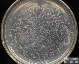 ATCC <em>菌株</em>/CMCC <em>菌株</em>购买/CICC <em>标准</em><em>菌株</em>