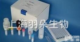 <em>Amplite</em> <em>荧光</em>法<em>葡萄糖氧化酶</em>定量试剂盒