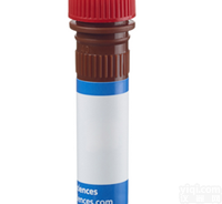 BD <em>流式</em>PMG<em>抗体</em>