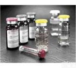 FP-<em>二甲</em>基<em>吡啶</em>甲<em>酰胺</em>