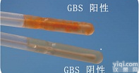 GBS<em>显色</em><em>培养基</em> GBS感染  B群链球菌<em>筛查</em>试剂