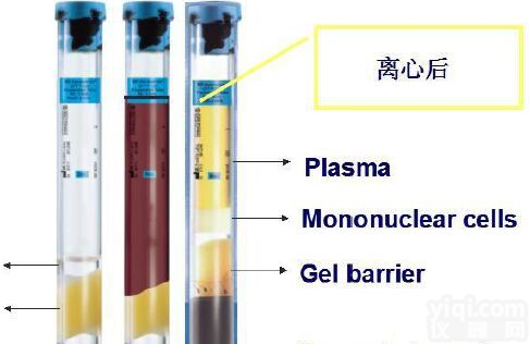 BD <em>36276</em>1 <em>Vacutainer</em> CPT 单核细胞采<em>血管</em>