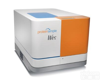 WES全自动蛋白<em>印迹</em><em>定量分析</em>系统