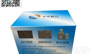 <em>DYP0530</em>人诱导型多能干<em>细胞</em>