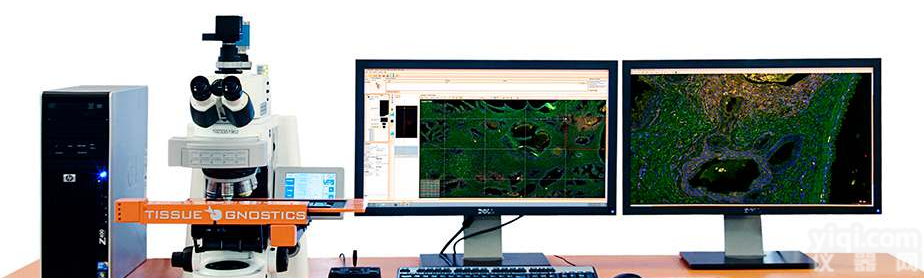 <em>全景</em>组织<em>细胞</em><em>定量分析</em>系统