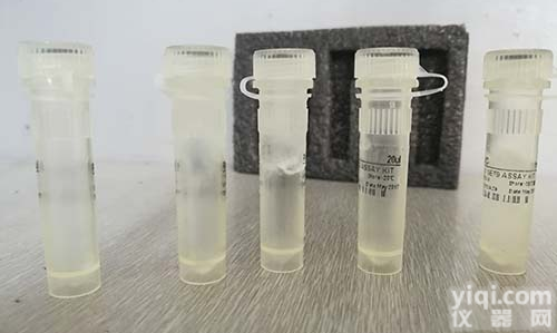 <em>50倍Dendhart核酸杂交封闭溶液</em>