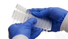 4titude ®<em>可掰PCR板</em> 12排管